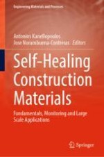 Fundamentals of Self-healing Construction Materials