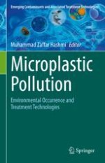 Emerging Issue of Microplastic in Sediments and Surface Water in South Asia: A Review of Status, Research Needs, and Data Gaps