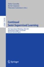 International Workshop on Continual Semi-Supervised Learning: Introduction, Benchmarks and Baselines