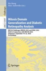 nnU-Net Pre- and Postprocessing Strategies for UW-OCTA Segmentation Tasks in Diabetic Retinopathy Analysis