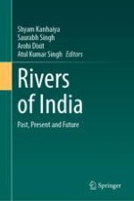 Geomorphological and GIS-Based Analysis of Catchment Areas in River Narmada, Central India