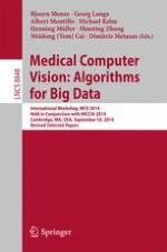 Overview of the 2014 Workshop on Medical Computer Vision—Algorithms for Big Data (MCV 2014)