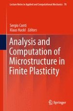 Numerical Algorithms for the Simulation of Finite Plasticity with Microstructures
