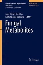 Different Shades of Fungal Metabolites: An Overview