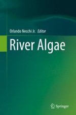 An Overview of River Algae