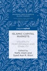 Islamic Capital Market Research: Past Trends and Future Considerations