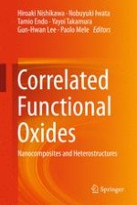 Functional Iron Oxides and Their Heterostructures