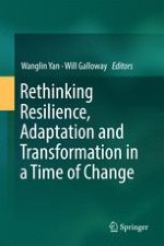 Understanding Change Through the Lens of Resilience