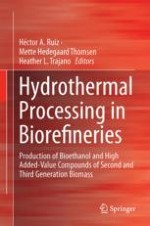 How the Severity Factor in Biomass Hydrolysis Came About