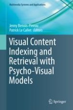 Visual Content Indexing and Retrieval with Psycho-Visual Models