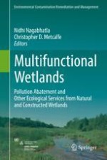 Multifunctional Wetlands: Pollution Abatement by Natural and Constructed Wetlands