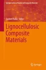 Lignocellulosic Materials of Brazil––Their Characterization and Applications in Polymer Composites and Art Works