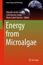 Energy from Microalgae: A Brief Introduction