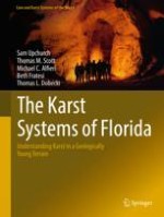 Eogenetic Karst in Florida