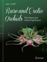 History of Orchids
