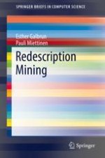 What Is Redescription Mining