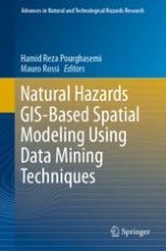 Gully Erosion Modeling Using GIS-Based Data Mining Techniques in Northern Iran: A Comparison Between Boosted Regression Tree and Multivariate Adaptive Regression Spline