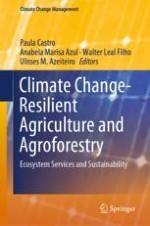 Terraced Agroforestry Systems in West Anti-Atlas (Morocco): Incidence of Climate Change and Prospects for Sustainable Development