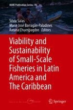 Big Questions About Sustainability and Viability in Small-Scale Fisheries