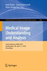 A Multi-resolution Deep Learning Framework for Lung Adenocarcinoma Growth Pattern Classification