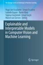 Considerations for Evaluation and Generalization in Interpretable Machine Learning