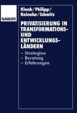 Konzeptionelle Grundlagen der Privatisierung