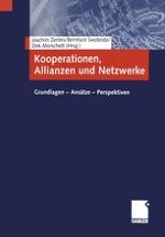 Kooperationen, Allianzen und Netzwerke — Grundlagen, „Metaanalyse“ und Kurzabriss