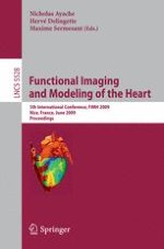 Characterization of Post-infarct Scars in a Porcine Model – A Combined Experimental and Theoretical Study