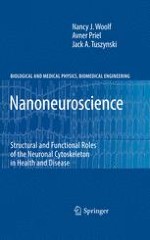 Introducing Nanoneuroscience as a Distinct Discipline