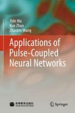Pulse-Coupled Neural Networks