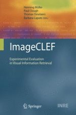 Seven Years of Image Retrieval Evaluation