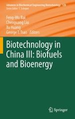 Cellulolytic Enzyme Production and Enzymatic Hydrolysis for Second-Generation Bioethanol Production