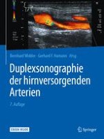 Anatomische Grundlagen