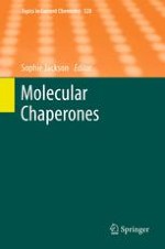 Assisting Oxidative Protein Folding: How Do Protein Disulphide-Isomerases Couple Conformational and Chemical Processes in Protein Folding?