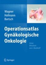 Anatomie des Oberbauchs