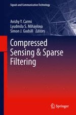 Introduction to Compressed Sensing and Sparse Filtering