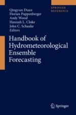 Hydrological Predictability, Scales, and Uncertainty Issues