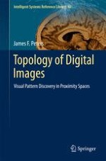 Topology of Digital Images: Basic Ingredients