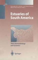 What Do We Know About the Geomorphology and Physical Oceanography of South American Estuaries?