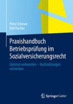 Das Prüfungsverfahren in der Sozialversicherung