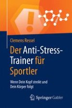 Kleine Stresskunde: Das Adrenalinzeitalter