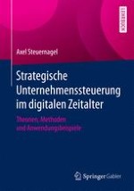 Begriffe und theoretische Ansätze zur Unternehmenssteuerung