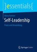 Self-Leadership-Training und Entwicklung