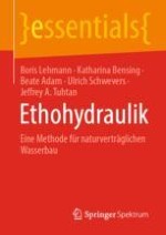 Buchtitelbild