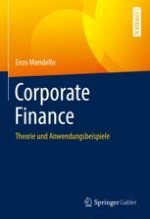 Einführung in die Corporate Finance