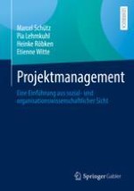 Projektmanagement: Einführung in eine organisations- und sozialwissenschaftlich konturierte Perspektive