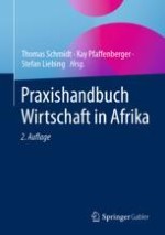 Wirtschaft in Afrika – Eine Einführung