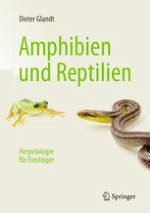 Einleitung – Was will dieses Buch?