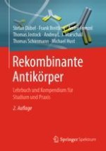 Was sind Antikörper und wie funktionieren sie?