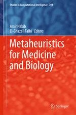 Design of Static Metaheuristics for Medical Image Analysis